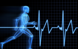 Hypertrophy coach Copilot