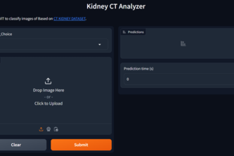 Kidney CT Analyzer