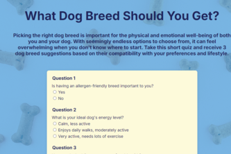 Dog Breed Compatibility Quiz