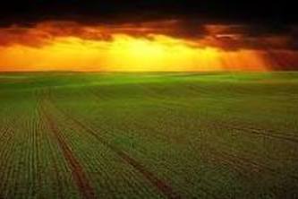 Comprehensive Agricultural Solution