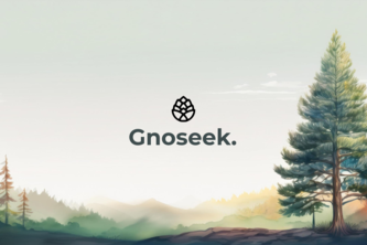Gnoseek
