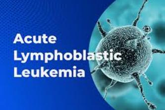 Acute Lymphoblastic Leukemia Detector