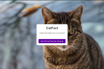 CatFact
