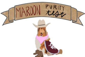 Maroon Purity Test