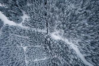 Elderly-app-launcher