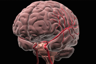 THE-PREDICTION-OF-ALZHEIMER USING SML