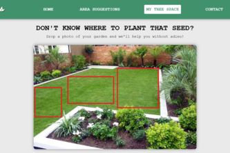 PLANTrees