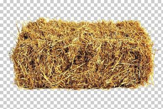 Agriculture Platformer Study