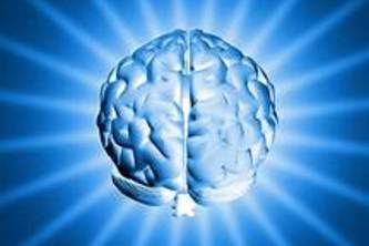 Amygdala-Meta-Intelligent-System