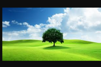 Zarai Baseerat : Agricultural Insight