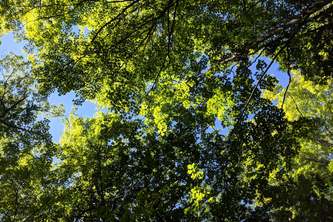 Eco connect