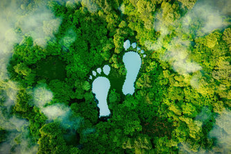 Carbon Footprint Calculator