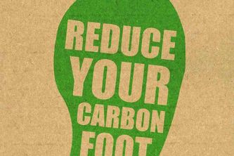 AI Carbon Footprint Detection & Reduction for Sustainability