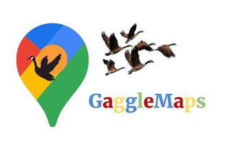 GaggleMaps