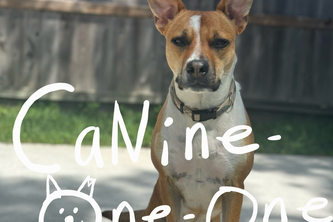 CaNine-One-One