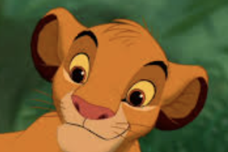 Simba's Surveillance 