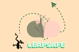  LeapSafe 