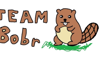 Bobr