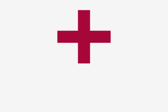 HealthBuddy