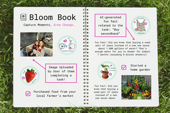 BloomBook