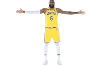 Match Cards to Build a Lebron