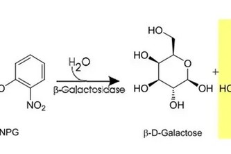 Calculator for Miller Unit Values