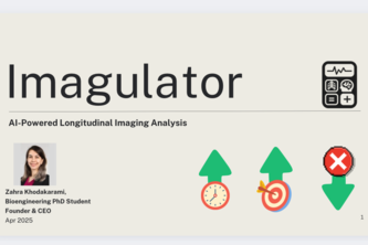 IMAGULATOR