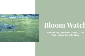 Bloom Watch