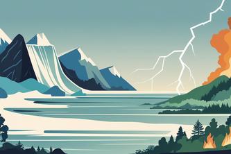 Disaster Response Coordinator