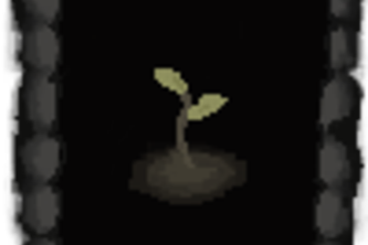 Sprout