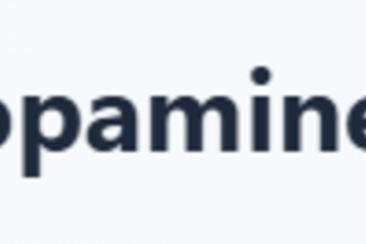 dopamine timer