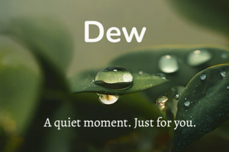Dew - AI Meditation That Knows You