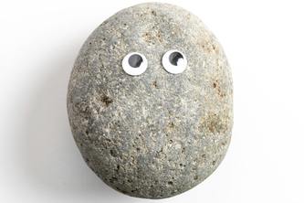 Pet Rock Walk Guide