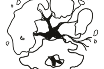 Lola: Your Community-Powered Garden Assistant