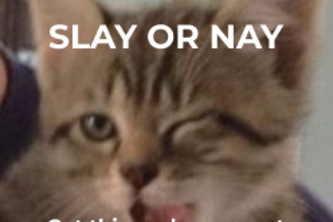 Slay or Nay 