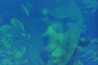 The Afterlife of Aphrodite