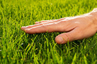 TouchGrass