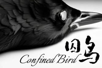 Confined Bird