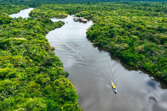 Save The Amazon
