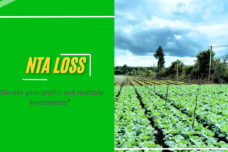 Nta Loss