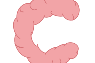 Cognify- Clarity for all