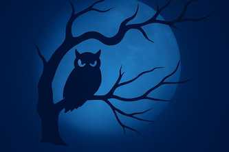 Baseline Polyfill CDN+