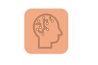 Ai Information Checker