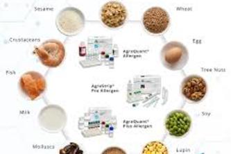 Mohammad Jowkari(AllergyGuard)