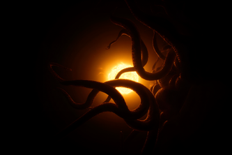 They Devoured the Sun