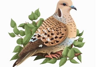 BILLAU — Bitcoin Integrated Liquid Loan Asset Utility