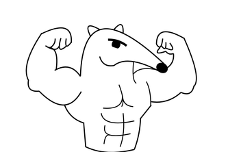 Anteater Gym Service 