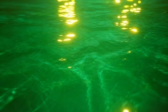 Swimmer - Constantine X