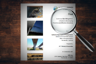 Exploring Environmental Policy with Sentiment Analysis