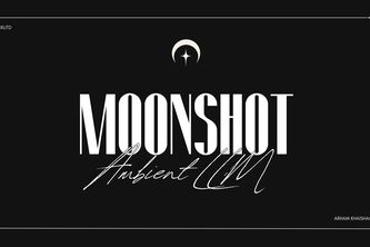 Moonshot